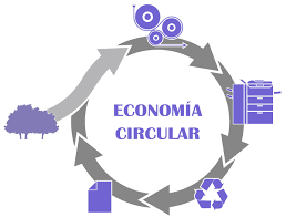 Proceso de economía circular